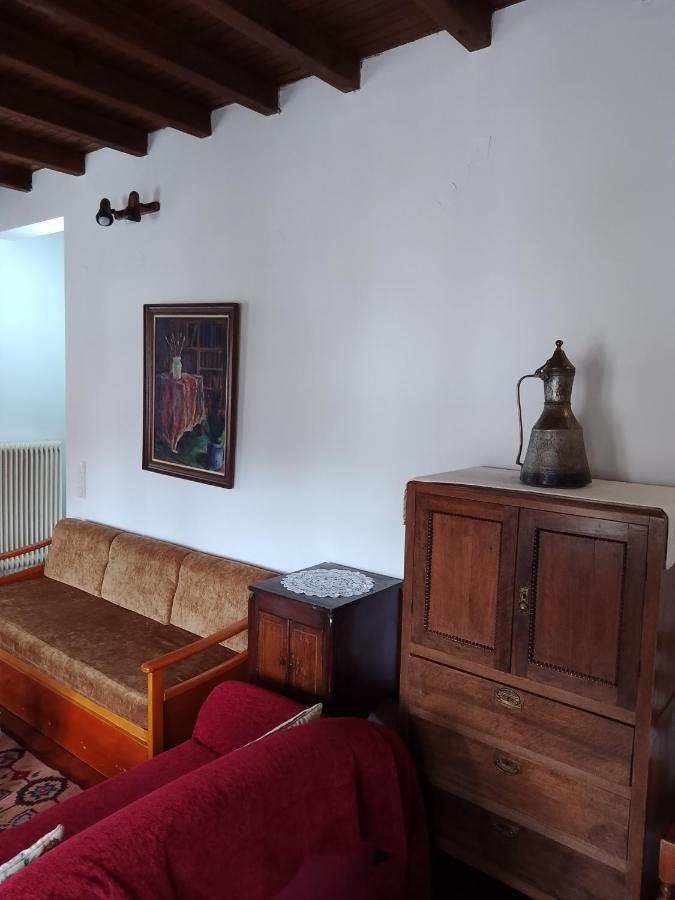Arka Metsovo Hotel Екстериор снимка