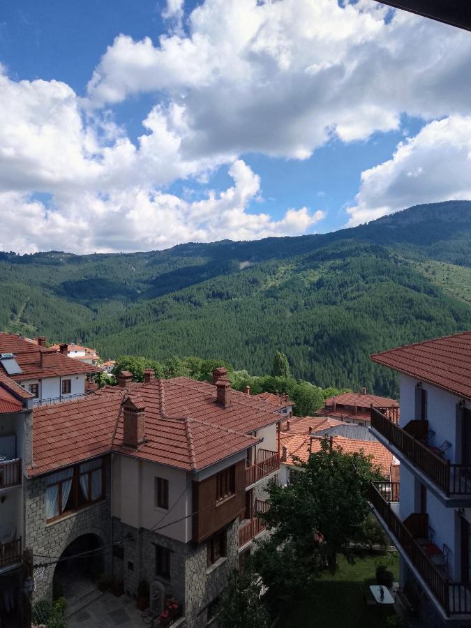 Arka Metsovo Hotel Екстериор снимка