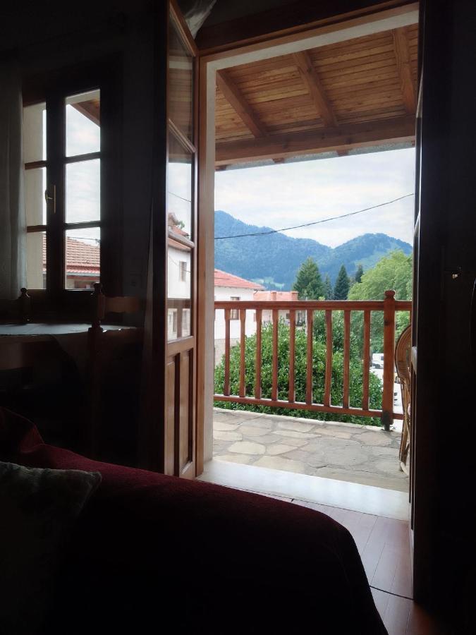 Arka Metsovo Hotel Екстериор снимка