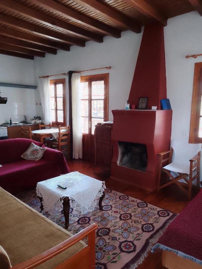 Arka Metsovo Hotel Екстериор снимка
