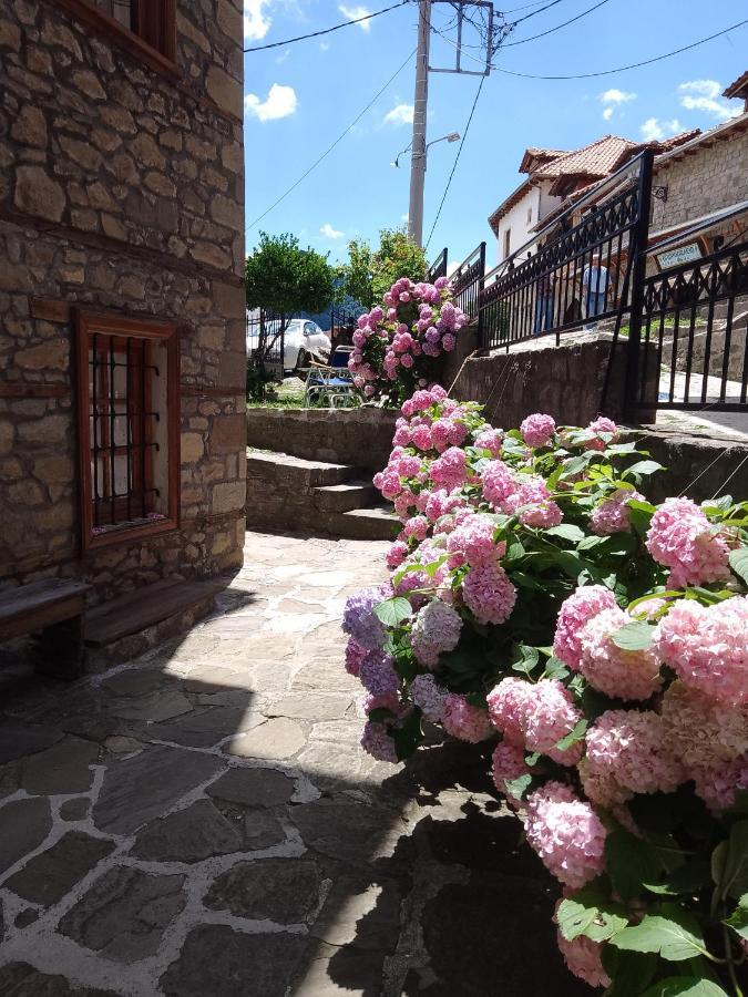 Arka Metsovo Hotel Екстериор снимка