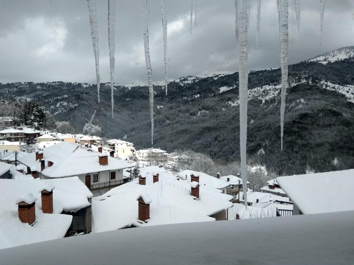 Arka Metsovo Hotel Екстериор снимка
