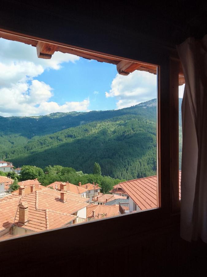Arka Metsovo Hotel Екстериор снимка