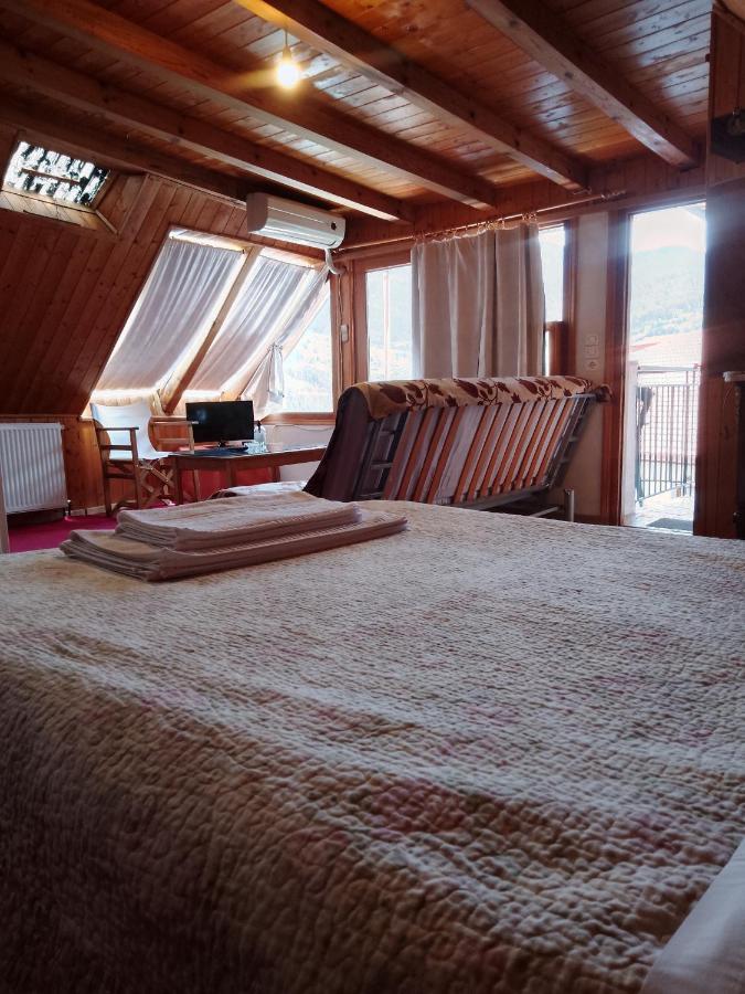 Arka Metsovo Hotel Екстериор снимка