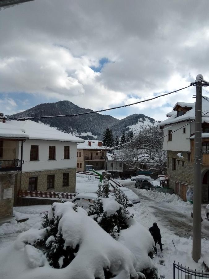 Arka Metsovo Hotel Екстериор снимка