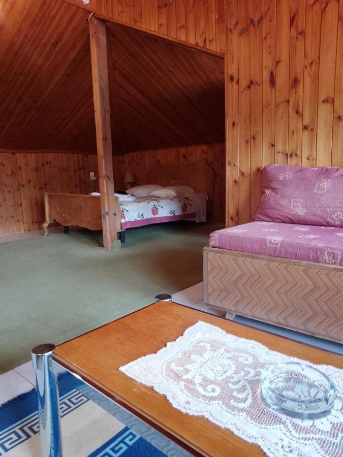 Arka Metsovo Hotel Екстериор снимка