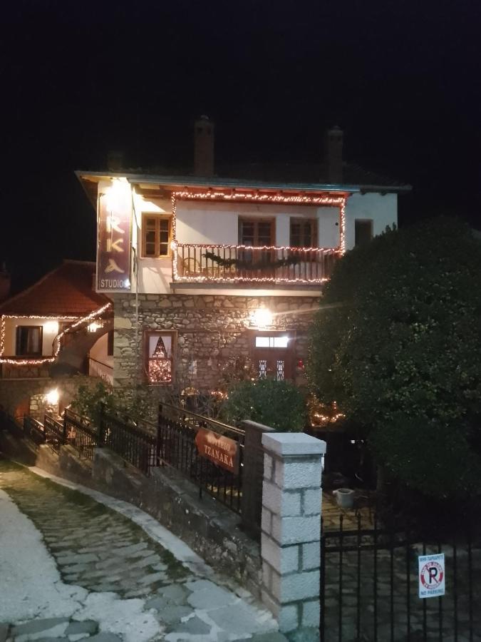 Arka Metsovo Hotel Екстериор снимка